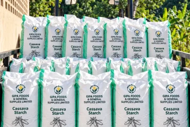 GIPA Foods Demo Asset