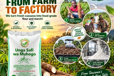GIPA Foods Demo Asset