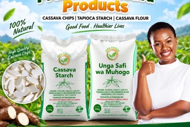 GIPA Foods Demo Asset