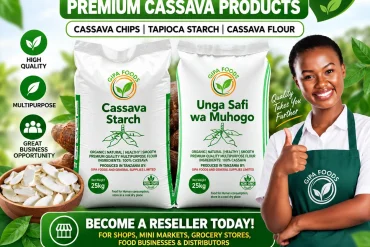 GIPA Foods Demo Asset